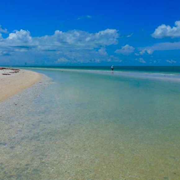 Cici’s Closet***Bookmark to Save! - Picture 4 of 7